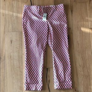 Anne Taylor loft dress pants- “Rivera Pant”